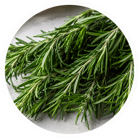 Rosemary